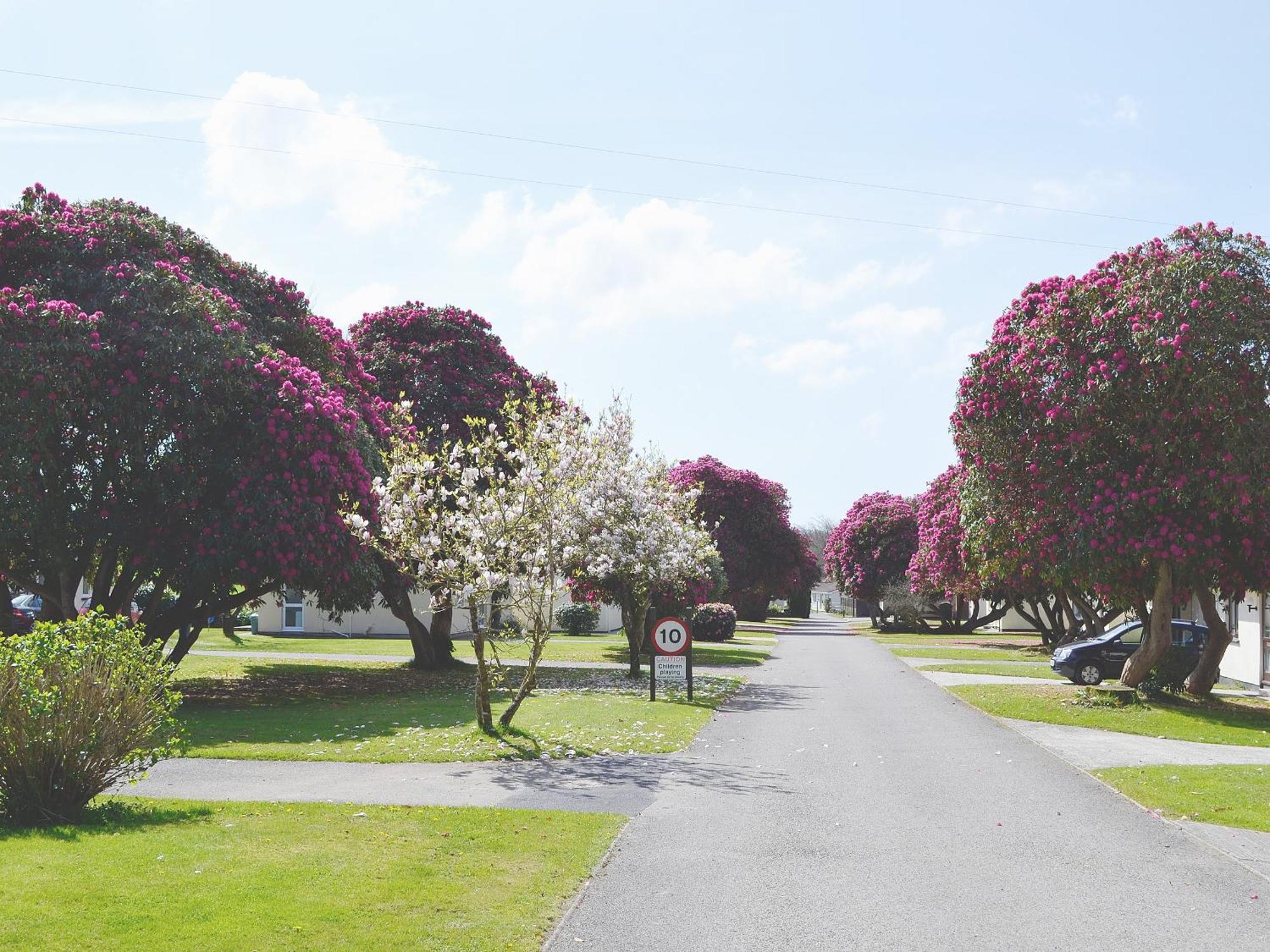 Heligan - B6522 Villa Saint Cleer ภายนอก รูปภาพ